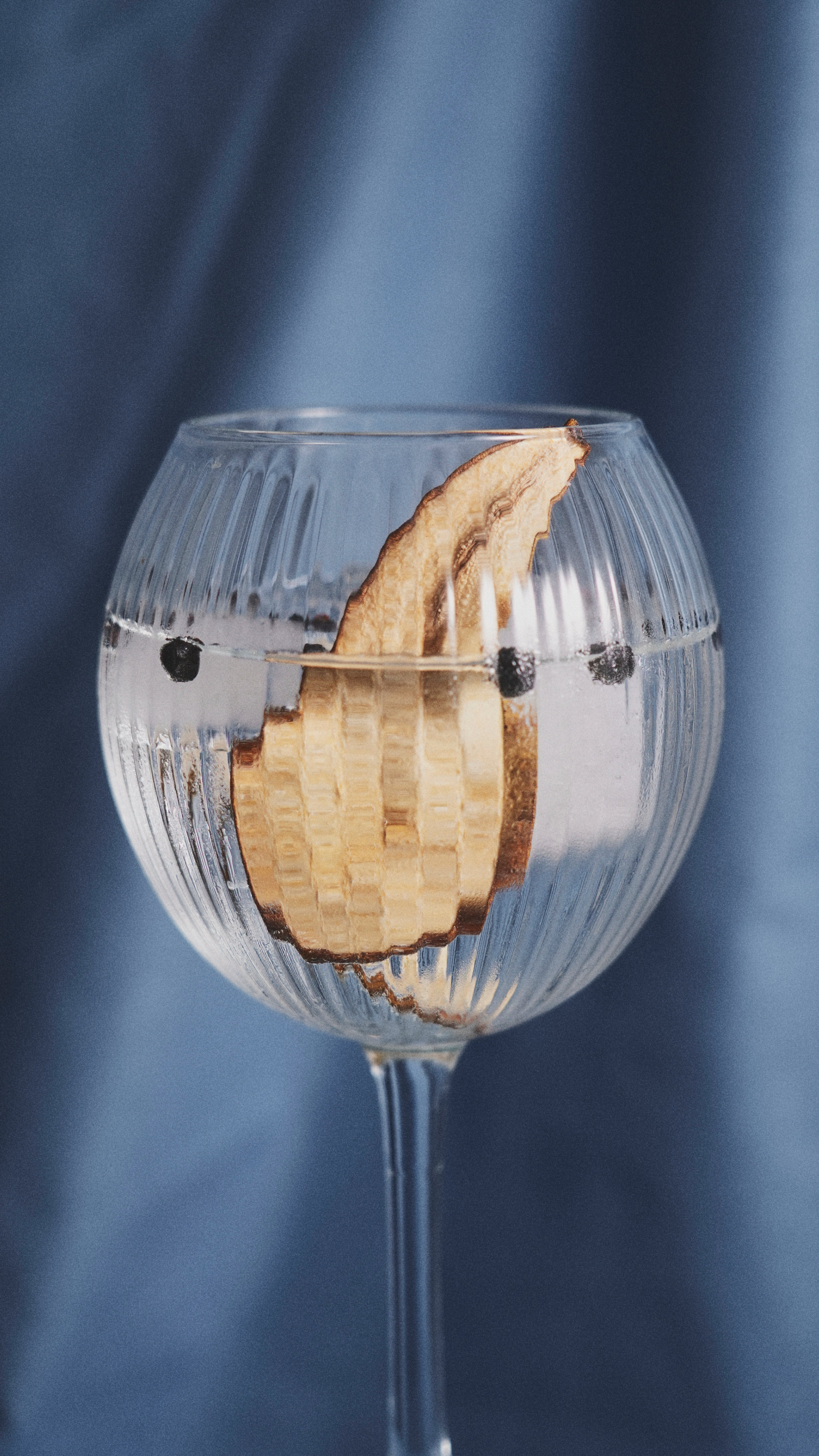 Le Gin Tonic